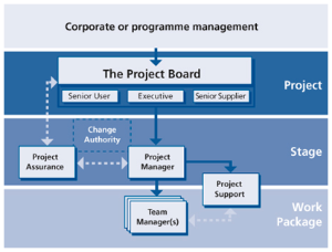 directing projects senior management diagram 1 small